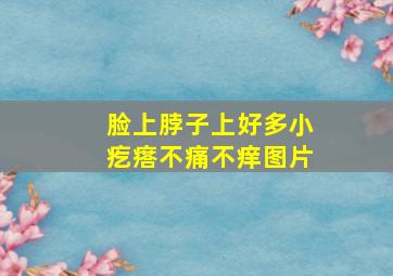 脸上脖子上好多小疙瘩不痛不痒图片