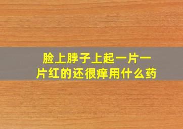 脸上脖子上起一片一片红的还很痒用什么药