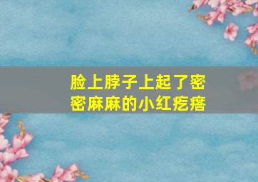 脸上脖子上起了密密麻麻的小红疙瘩