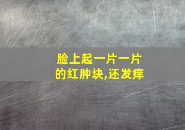 脸上起一片一片的红肿块,还发痒