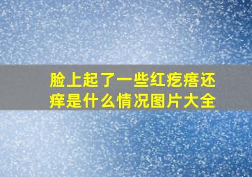 脸上起了一些红疙瘩还痒是什么情况图片大全