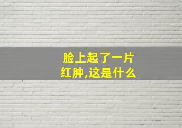 脸上起了一片红肿,这是什么