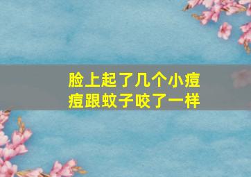 脸上起了几个小痘痘跟蚊子咬了一样