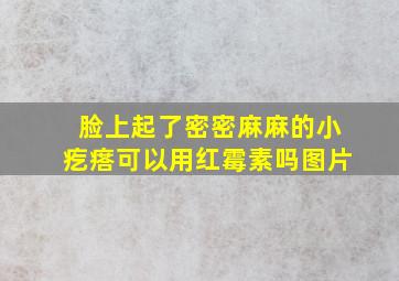 脸上起了密密麻麻的小疙瘩可以用红霉素吗图片