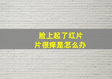 脸上起了红片片很痒是怎么办