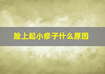 脸上起小疹子什么原因