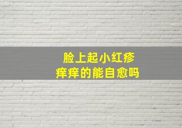 脸上起小红疹痒痒的能自愈吗