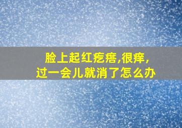 脸上起红疙瘩,很痒,过一会儿就消了怎么办