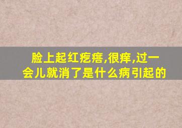 脸上起红疙瘩,很痒,过一会儿就消了是什么病引起的