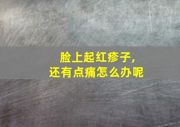 脸上起红疹子,还有点痛怎么办呢