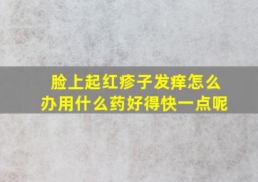 脸上起红疹子发痒怎么办用什么药好得快一点呢