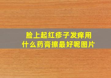 脸上起红疹子发痒用什么药膏擦最好呢图片