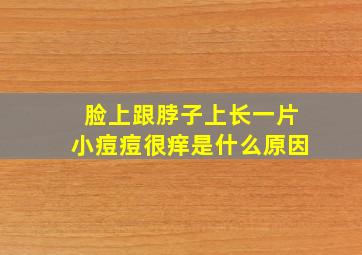 脸上跟脖子上长一片小痘痘很痒是什么原因