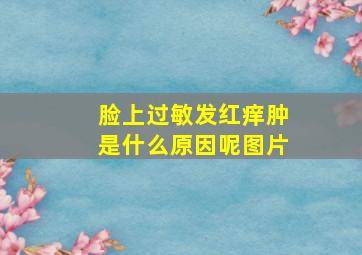 脸上过敏发红痒肿是什么原因呢图片