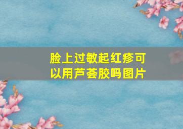 脸上过敏起红疹可以用芦荟胶吗图片