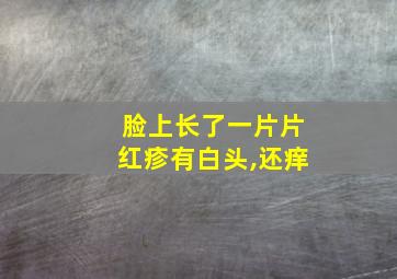 脸上长了一片片红疹有白头,还痒