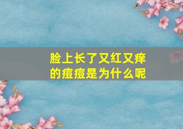 脸上长了又红又痒的痘痘是为什么呢