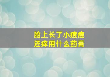 脸上长了小痘痘还痒用什么药膏