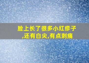 脸上长了很多小红疹子,还有白尖,有点刺痛