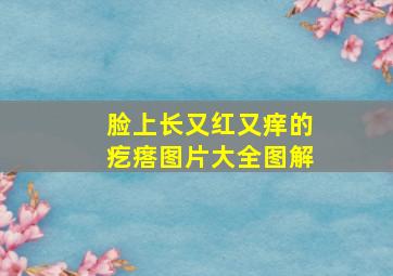 脸上长又红又痒的疙瘩图片大全图解