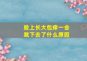 脸上长大包痒一会就下去了什么原因