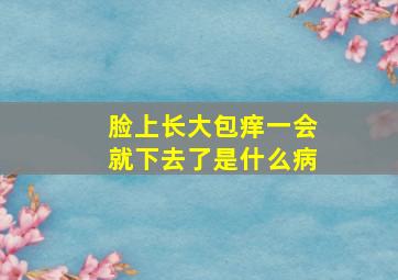 脸上长大包痒一会就下去了是什么病