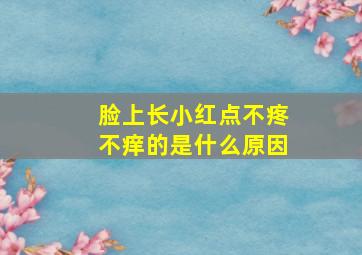 脸上长小红点不疼不痒的是什么原因