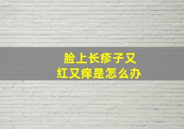 脸上长疹子又红又痒是怎么办