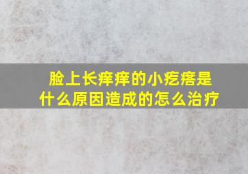 脸上长痒痒的小疙瘩是什么原因造成的怎么治疗