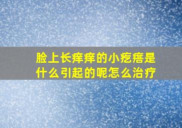 脸上长痒痒的小疙瘩是什么引起的呢怎么治疗