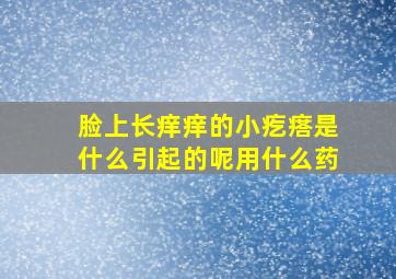 脸上长痒痒的小疙瘩是什么引起的呢用什么药