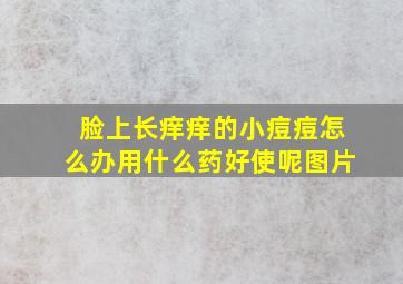 脸上长痒痒的小痘痘怎么办用什么药好使呢图片