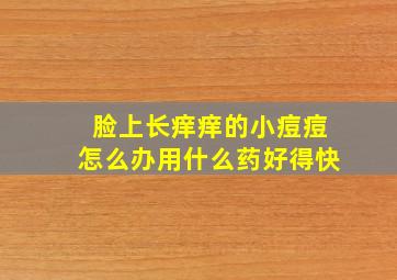 脸上长痒痒的小痘痘怎么办用什么药好得快