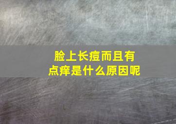 脸上长痘而且有点痒是什么原因呢