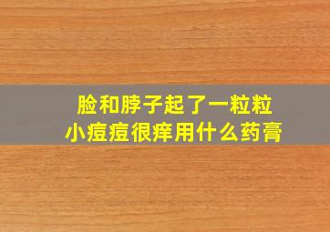 脸和脖子起了一粒粒小痘痘很痒用什么药膏