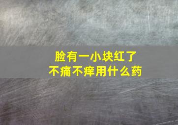 脸有一小块红了不痛不痒用什么药