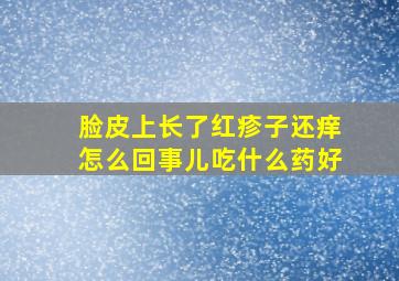 脸皮上长了红疹子还痒怎么回事儿吃什么药好