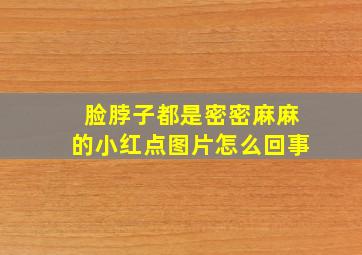 脸脖子都是密密麻麻的小红点图片怎么回事