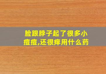 脸跟脖子起了很多小痘痘,还很痒用什么药