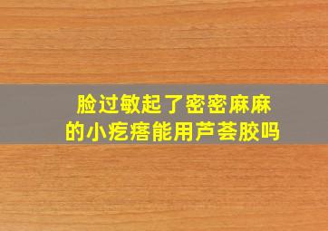 脸过敏起了密密麻麻的小疙瘩能用芦荟胶吗