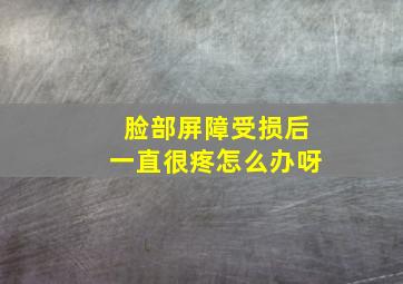 脸部屏障受损后一直很疼怎么办呀