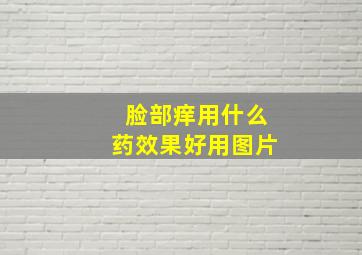 脸部痒用什么药效果好用图片