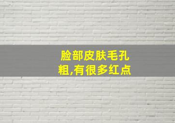 脸部皮肤毛孔粗,有很多红点