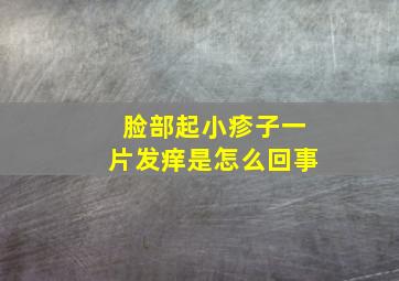 脸部起小疹子一片发痒是怎么回事