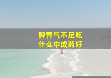 脾胃气不足吃什么中成药好