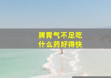 脾胃气不足吃什么药好得快