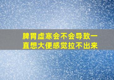 脾胃虚寒会不会导致一直想大便感觉拉不出来