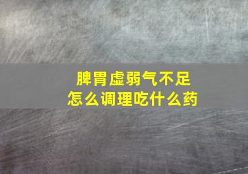 脾胃虚弱气不足怎么调理吃什么药