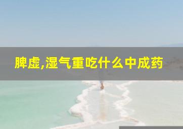 脾虚,湿气重吃什么中成药