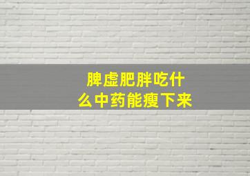 脾虚肥胖吃什么中药能瘦下来